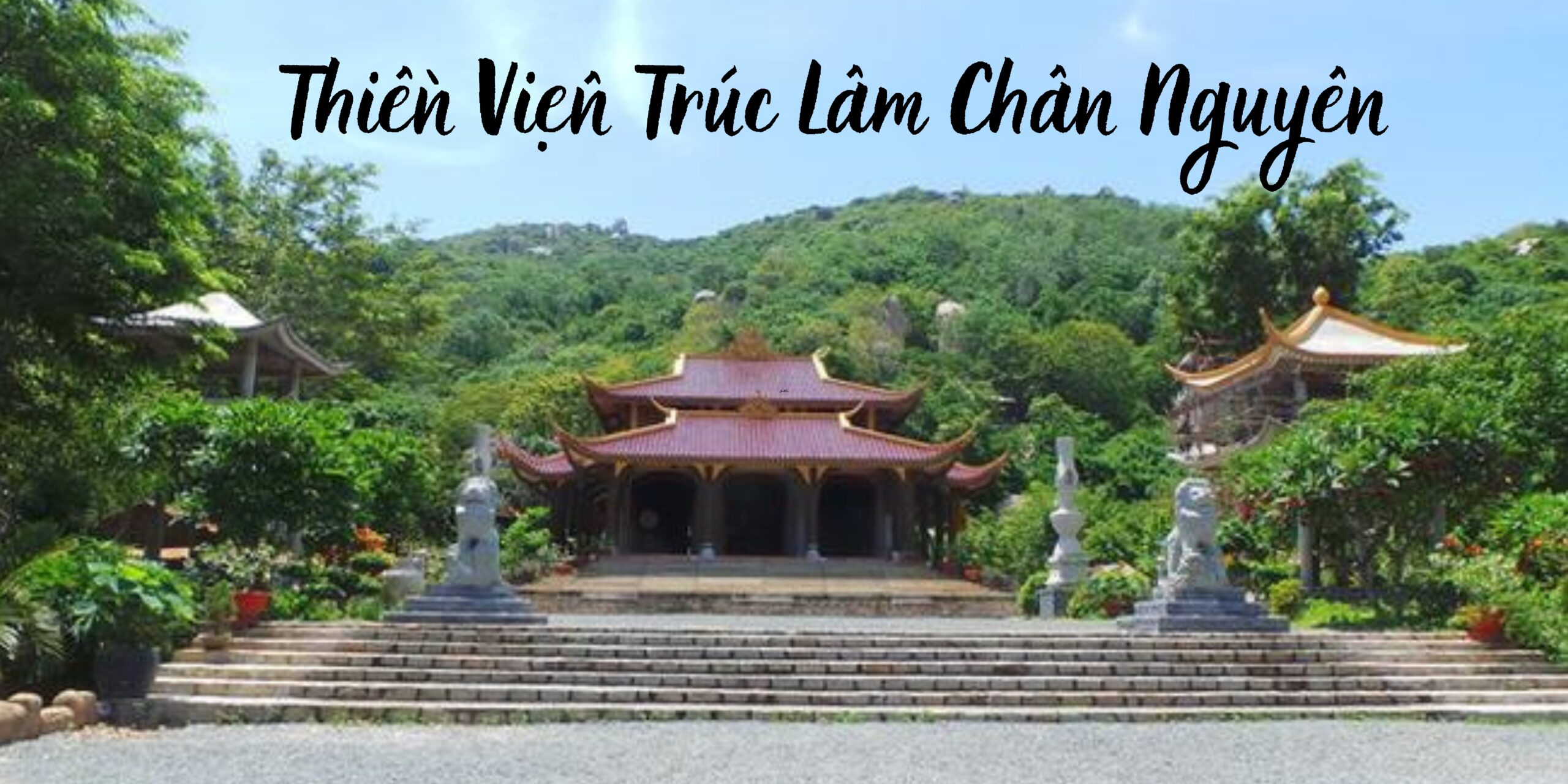 Thiền Viện Trúc Lâm Chân Nguyên – Ngôi Chùa Nổi Tiếng Với Đàn Khỉ Thân Thiện