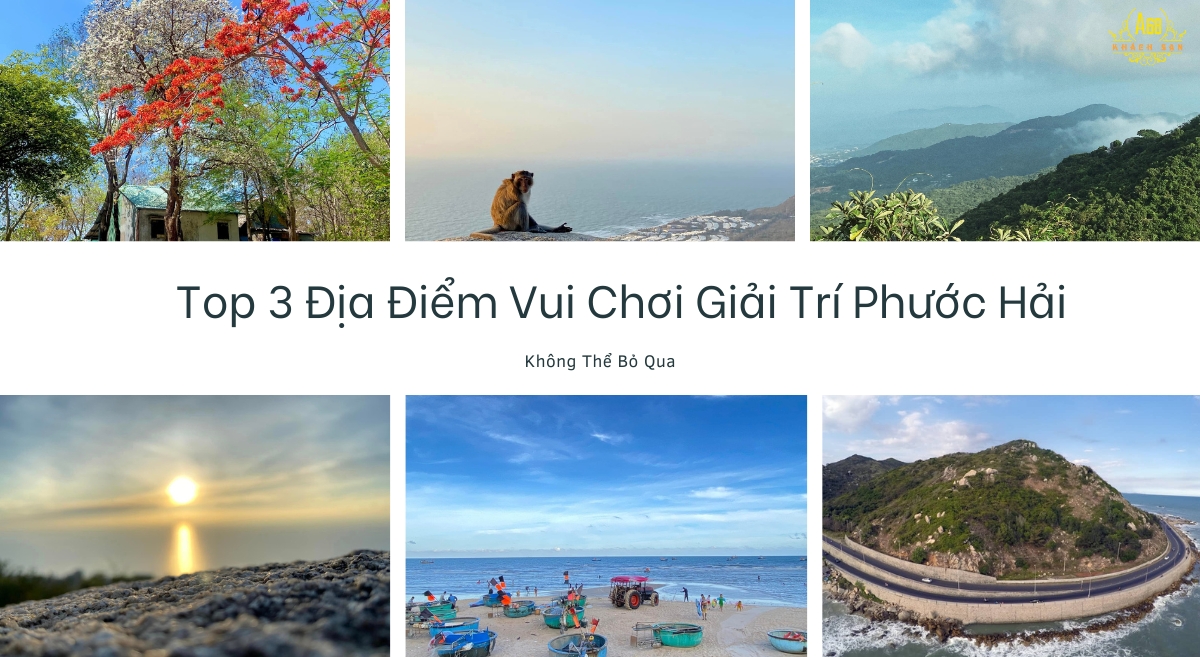 Top 3 Địa Điểm Vui Chơi Giải Trí Phước Hải Không Thể Bỏ Qua